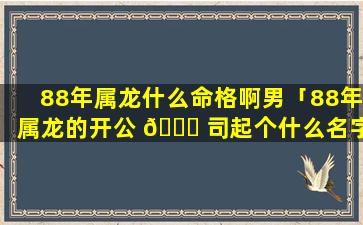 88年属龙什么命格啊男「88年属龙的开公 🍁 司起个什么名字」